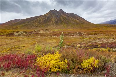 Tombstone Park im Herbst